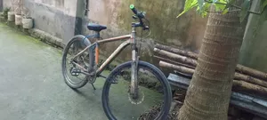Phoenix Bicycle