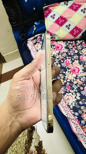 অ্যাপল আইফোন ১২ প্রো ২৫৬ জিবি গোল্ড