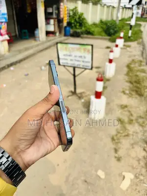 অ্যাপল আইফোন ১২ প্রো ম্যাক্স ২৫৬ জিবি নীল