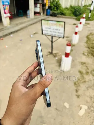 অ্যাপল আইফোন ১২ প্রো ম্যাক্স ২৫৬ জিবি নীল