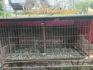 18/36 Cage