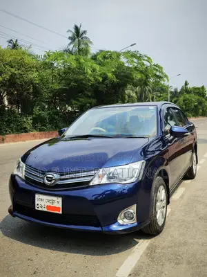 Toyota Axio 2013 Blue
