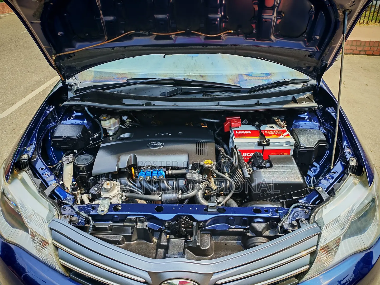 Toyota Axio 2013 Blue