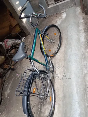 Ranger Max Bicycle
