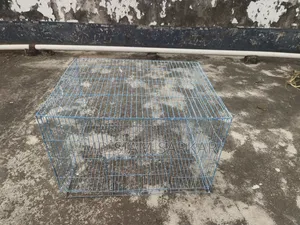 Bird cage for sale
