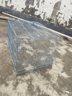 Bird cage for sale