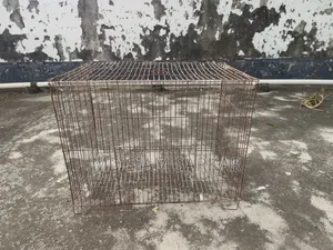 Bird cage for sale