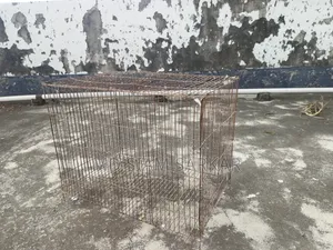 Bird cage for sale