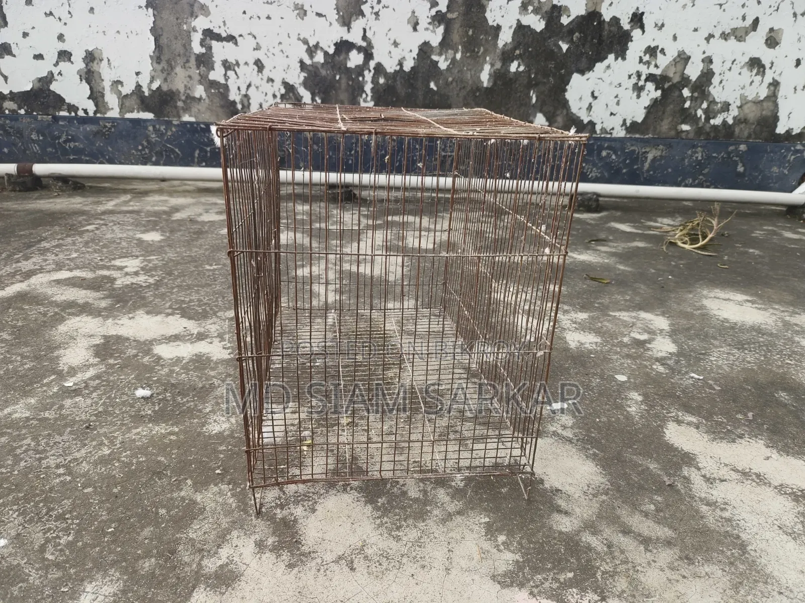 Bird cage for sale