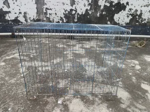 Bird cage for sale