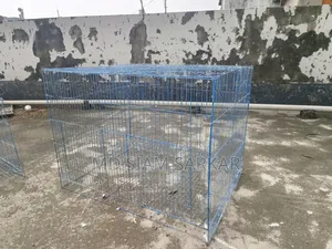 Bird cage for sale