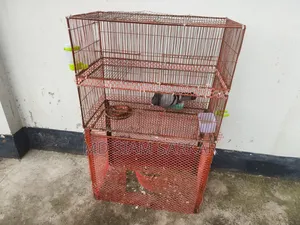 Bird Cage for Sale