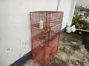 Bird Cage for Sale