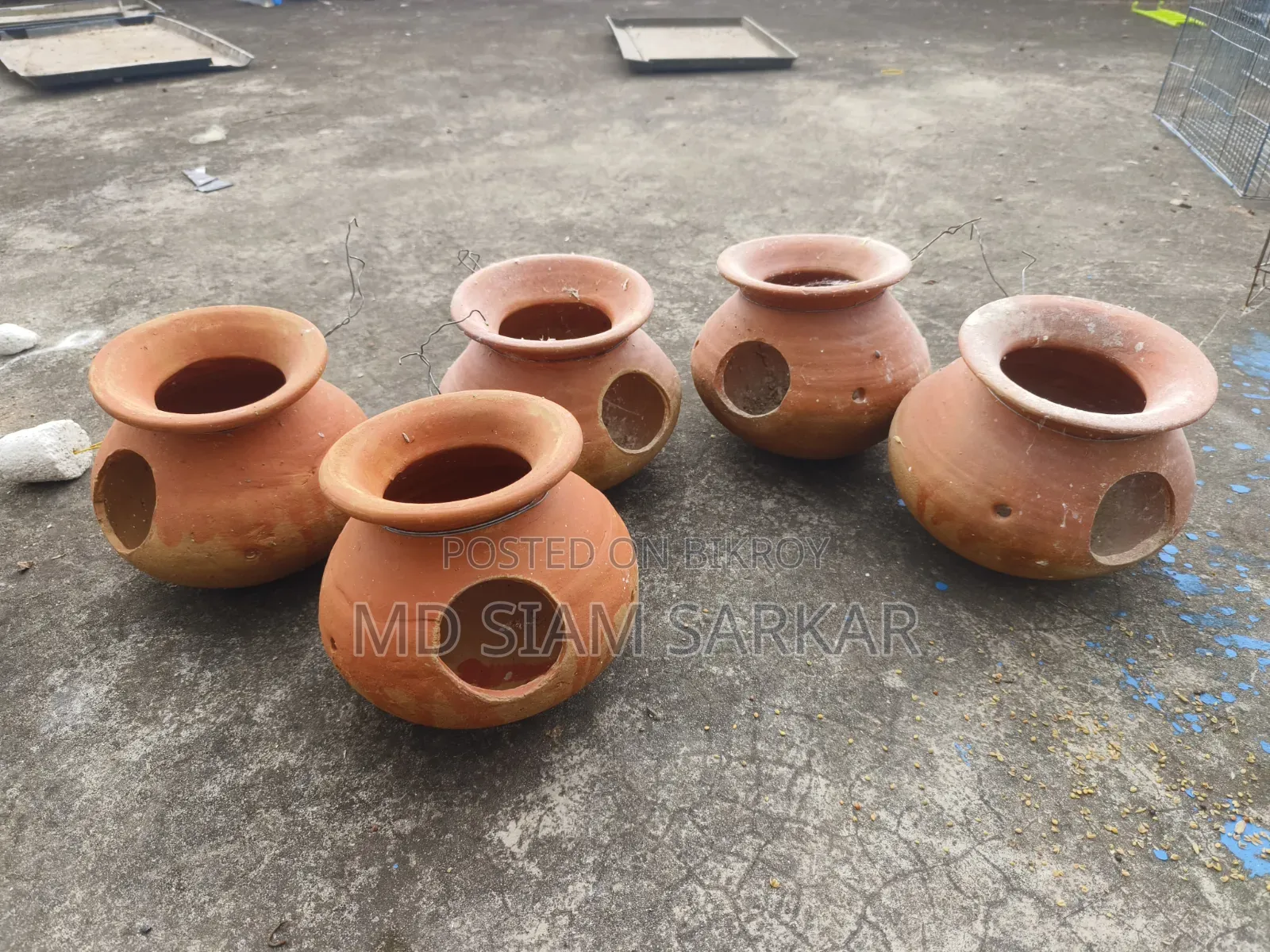 বাজরিগার পাখির হাড়ি