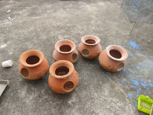 বাজরিগার পাখির হাড়ি