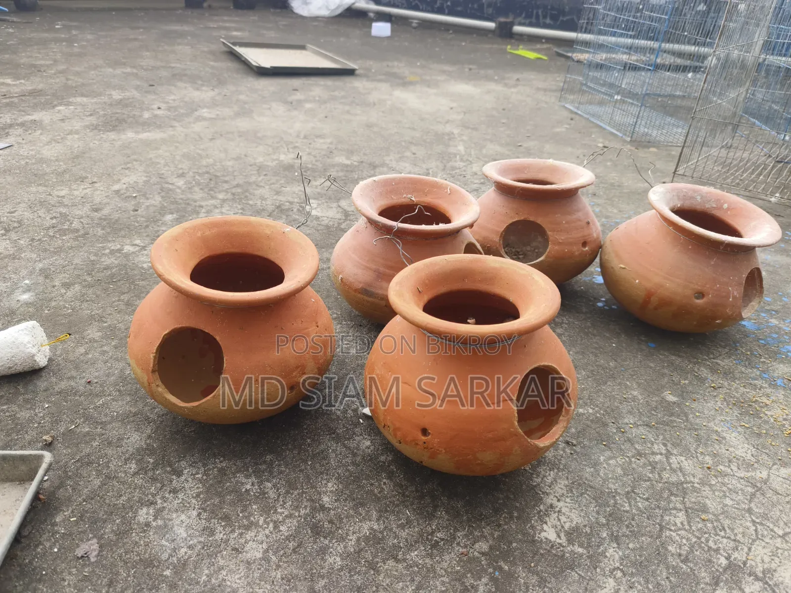 বাজরিগার পাখির হাড়ি