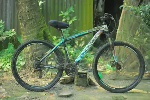 Phoenix Tornado 21 Speed Mountain Bike | Good Condition | For Sale