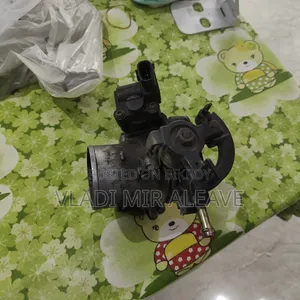 এক্স করোল্লা বাটারফ্লাই