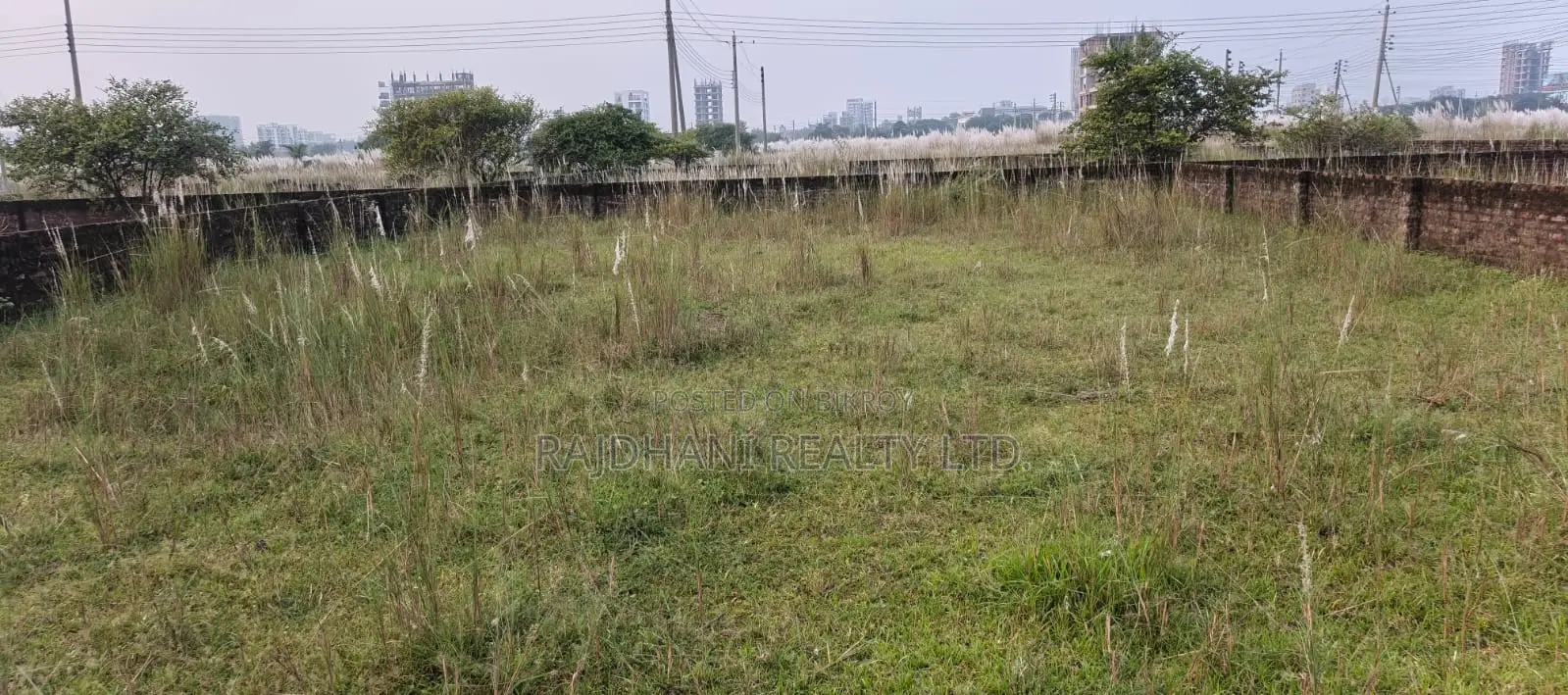 পি ব্লক, ৫ কাঠা প্লট বিক্রয় বসুন্ধরা, বারিধারা।