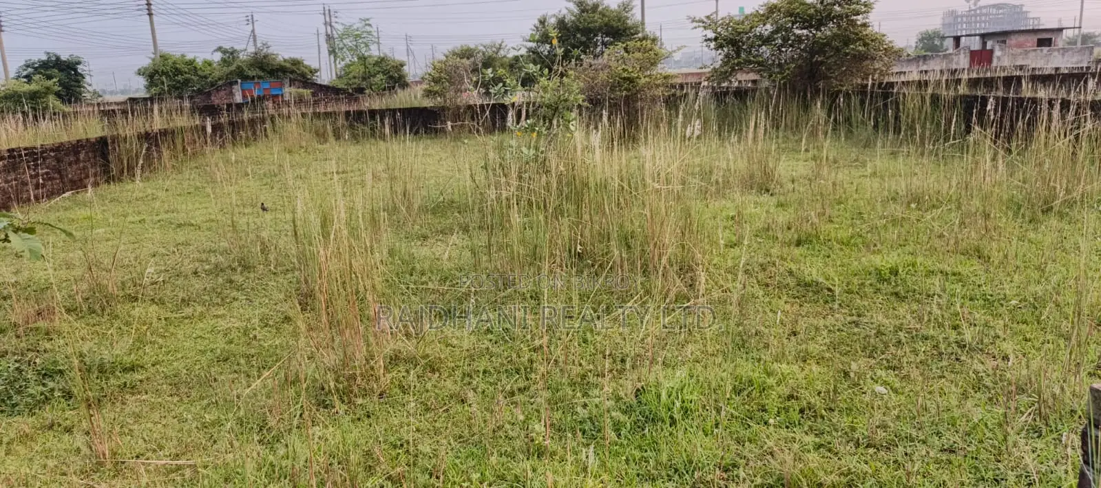 পি ব্লক, ৫ কাঠা প্লট বিক্রয় বসুন্ধরা, বারিধারা।