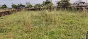 পি ব্লক, ৫ কাঠা প্লট বিক্রয় বসুন্ধরা, বারিধারা।