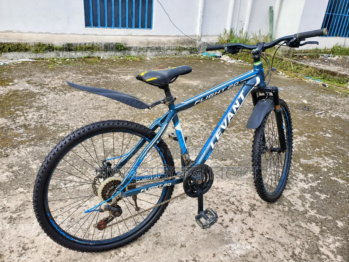 Alloy Body Gear Cycle