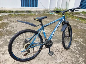 Alloy Body Gear Cycle