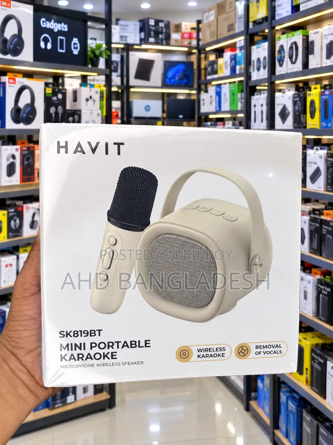 Havit Mini Portable Karaoke Microphone Wireless Streaker