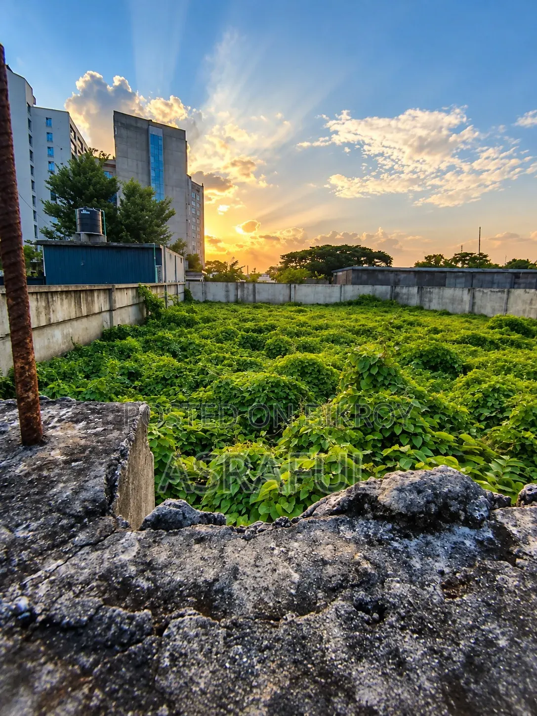 Plots for Sale