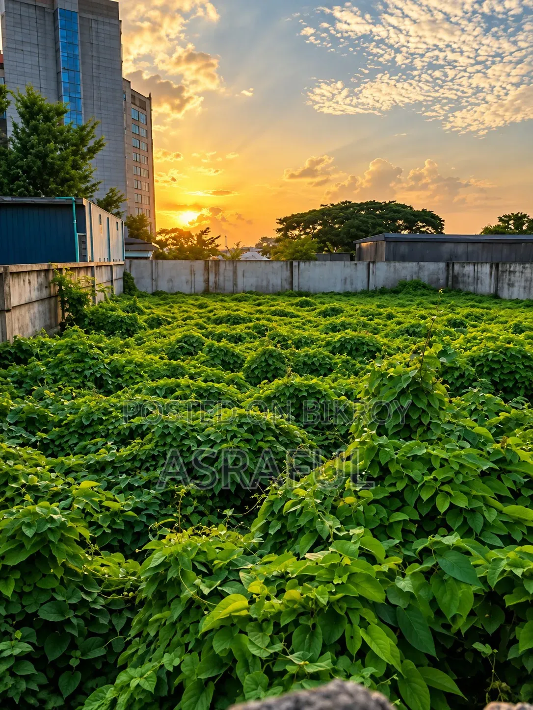 Plots for Sale