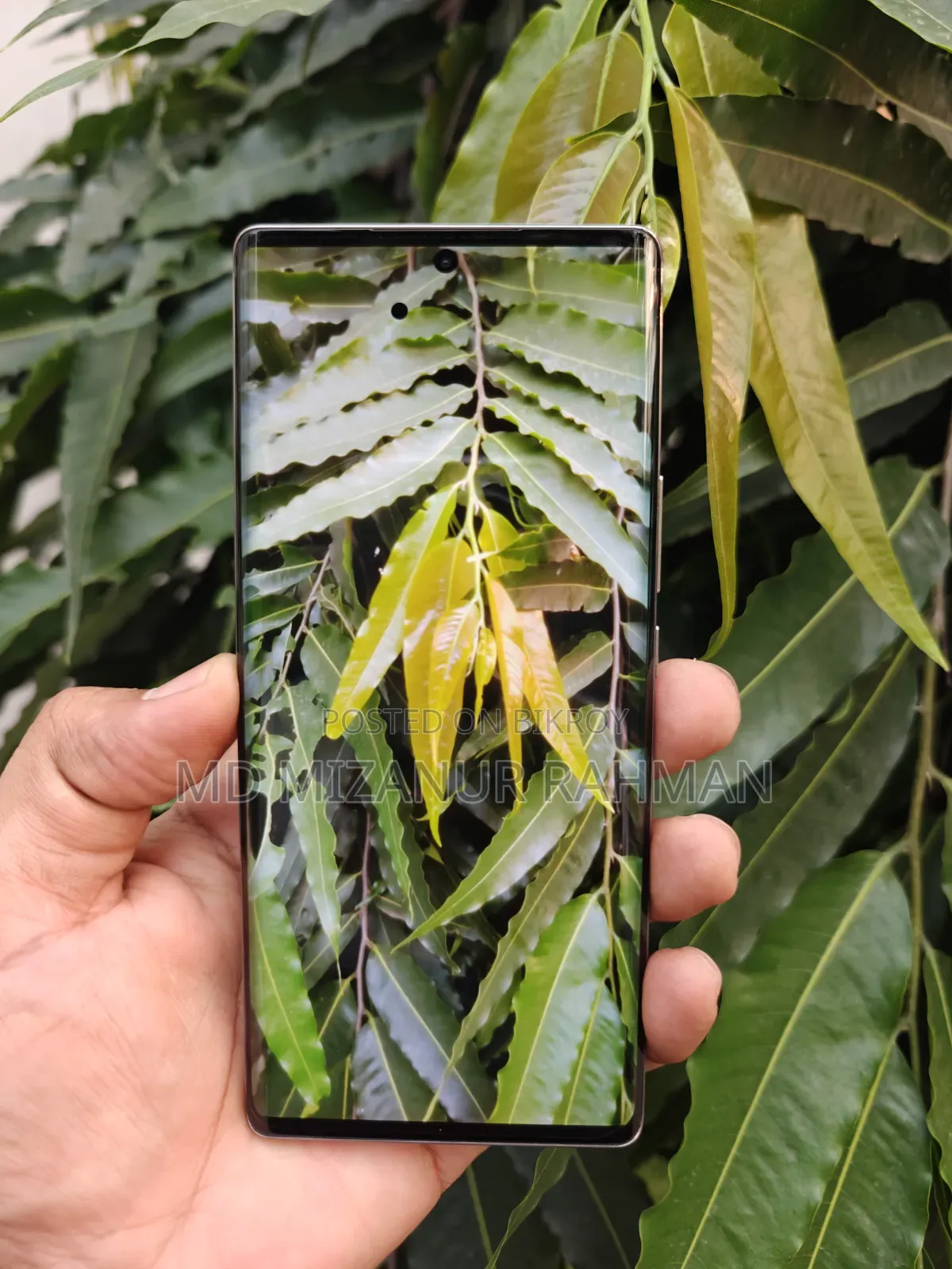 হনার ২৫৬ জিবি গ্রিন