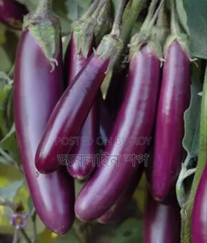 কৃত্রিম বেগুন