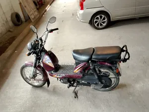 টিভিএস এক্সএল ১০০ ২০২২ পার্পল