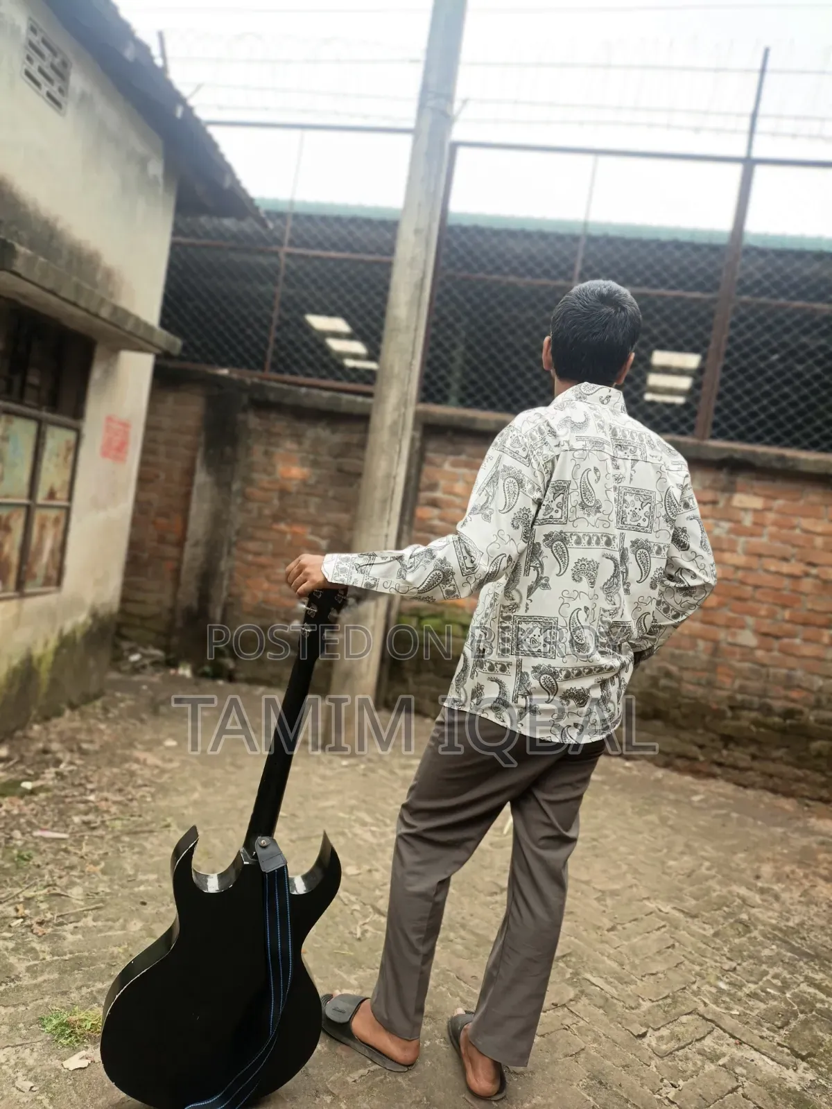 Guitar (Musical Instrument)
