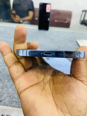 অ্যাপল আইফোন ১৩ প্রো ম্যাক্স ১ টিবি ব্রোঞ্জ
