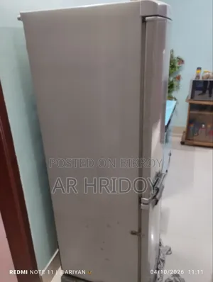 LG ExpressCool Bottom Freezer Fridge