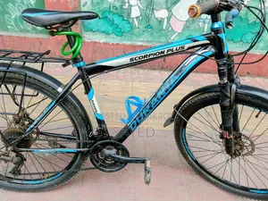 Running Cycle