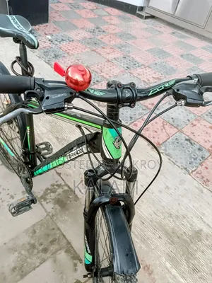 Running Cycle
