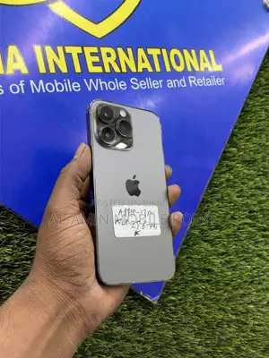 Apple iPhone 13 Pro 256 GB Gray