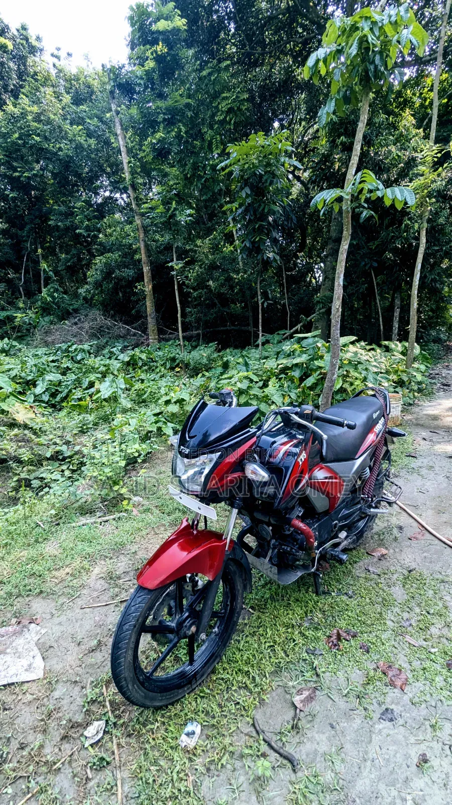 TVS Stryker 125 2021 Red