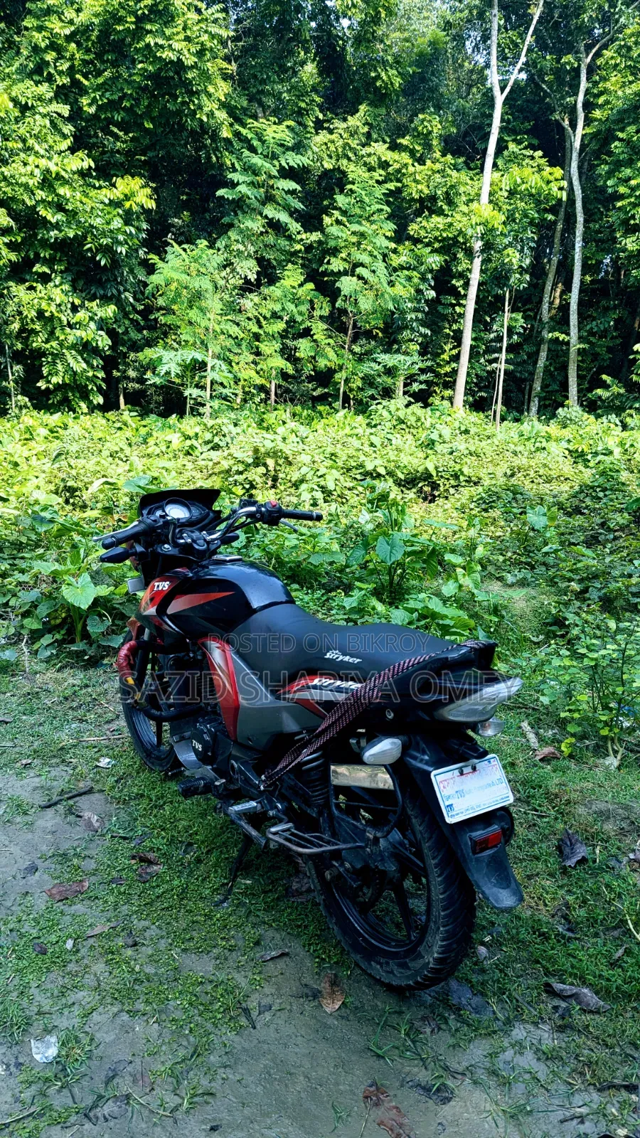 TVS Stryker 125 2021 Red