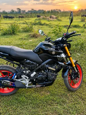 Yamaha MT-15 2024 Black