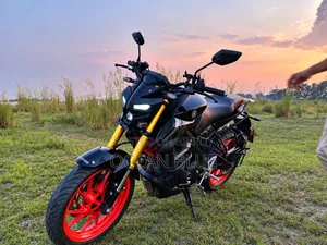 ইয়ামাহা এমটি-১৫ ২০২৪ ব্ল্যাক