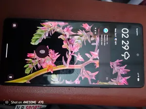 গুগল পিক্সেল ৬ ১২৮ জিবি সিলভার