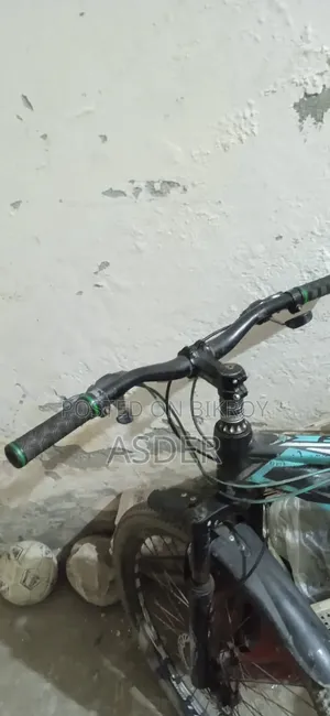 Bicycle Focus Sports 26