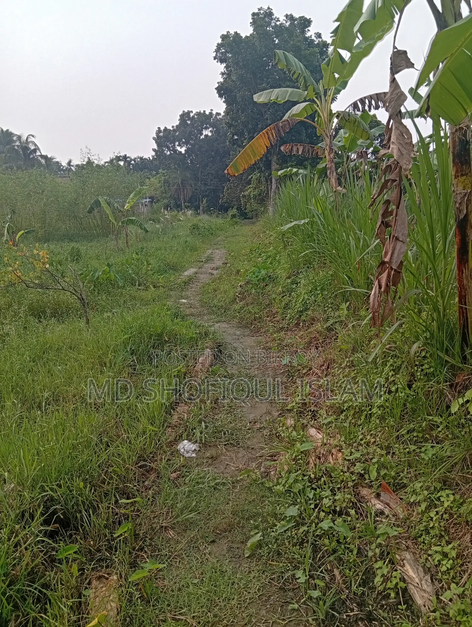 Land for Sale