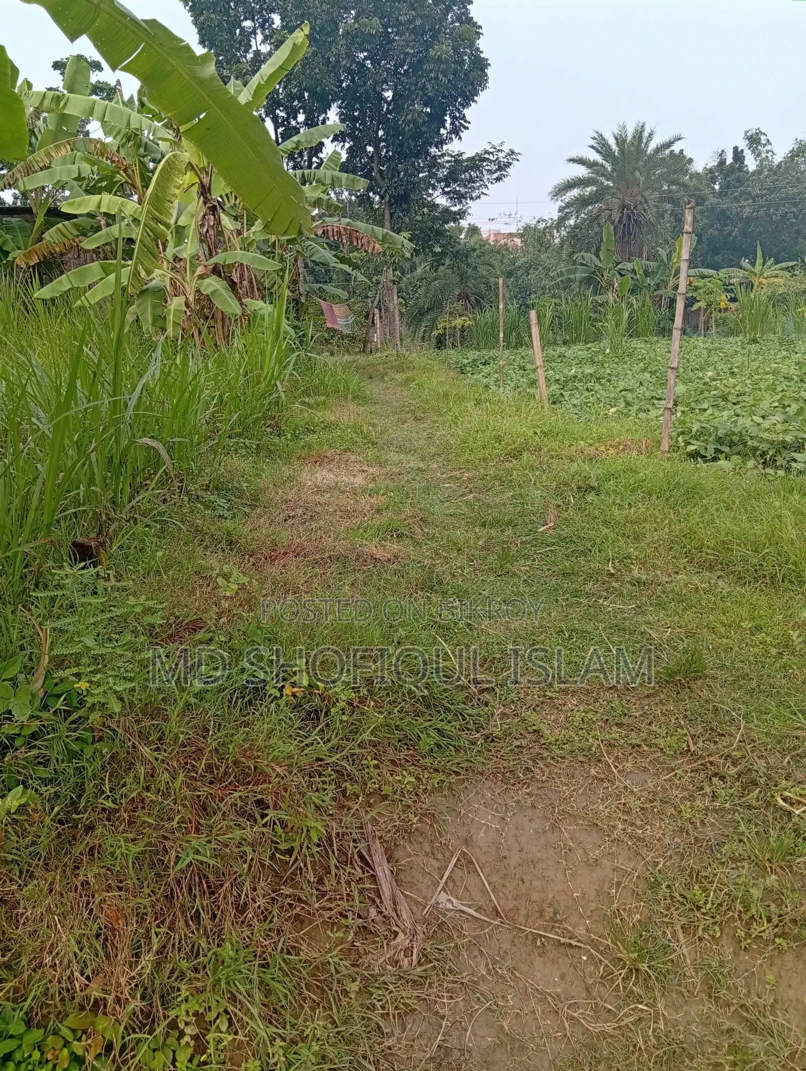 Land for Sale