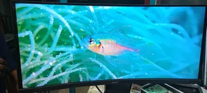 HP 34" Gaming Monitor | Curve Display | Best Price in Bangladesh