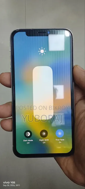 Apple iPhone X 256 GB White