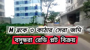 Photo - 3 Katha Plot Sale H Block Bashundhara